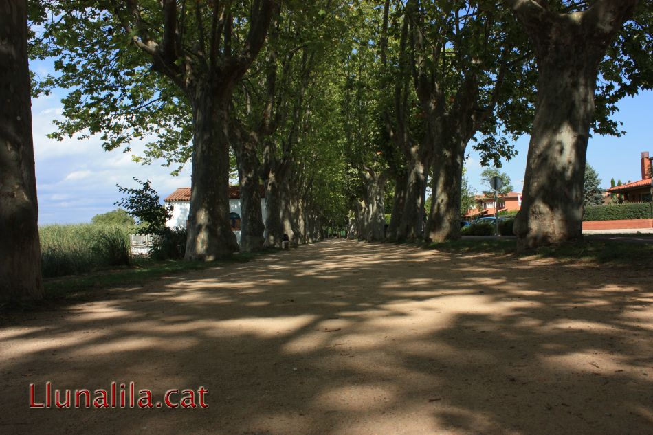 La Natura i l'estany de Banyoles