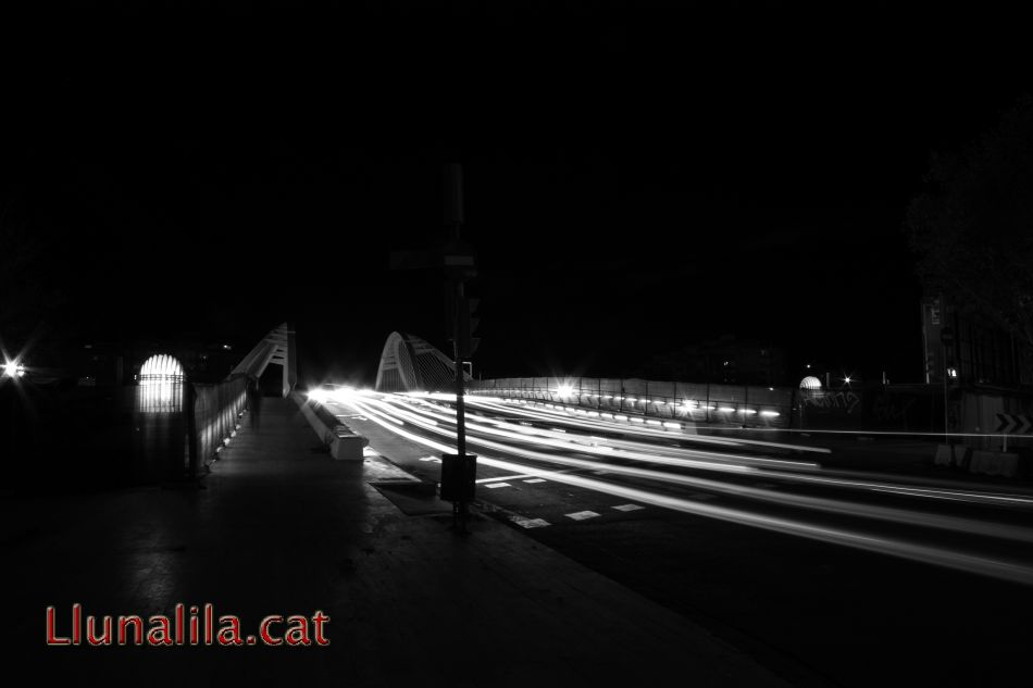 Pont de Santiago Calatrava Barcelona