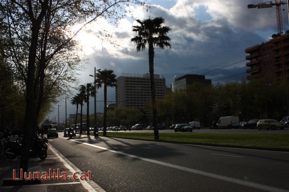 Avinguda Diagonal de tarde