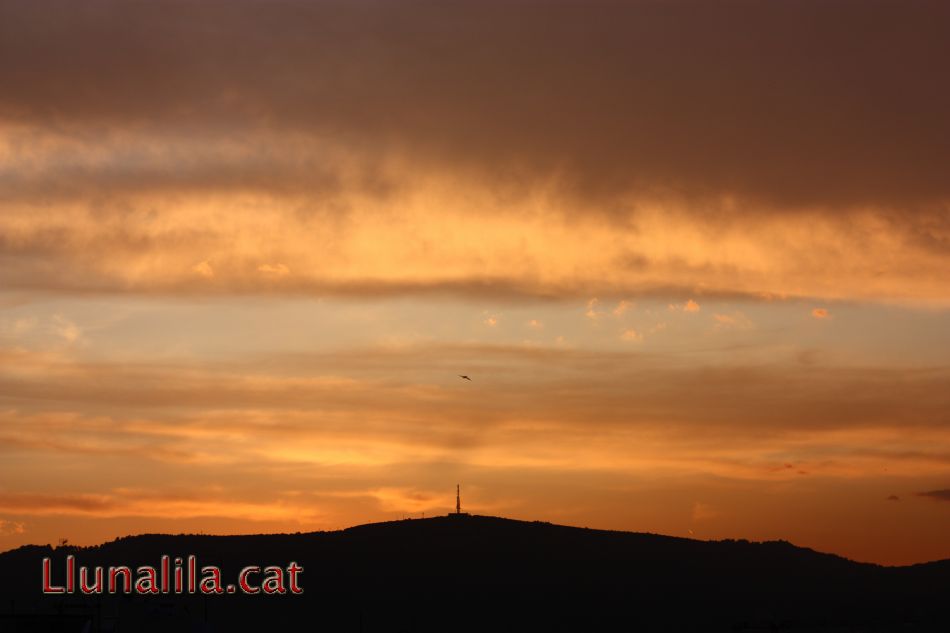 Colors de Tarde