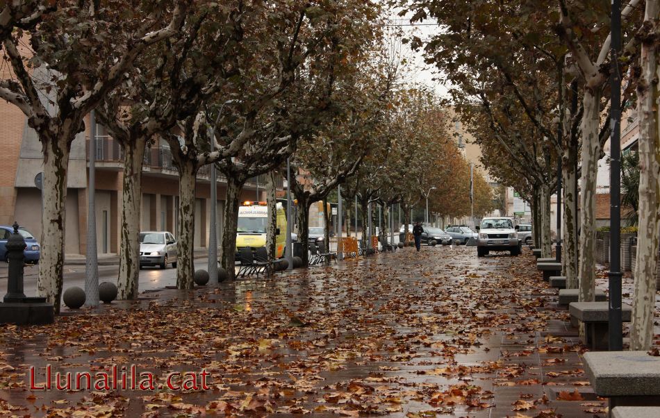 El Terraplè despres de la pluja