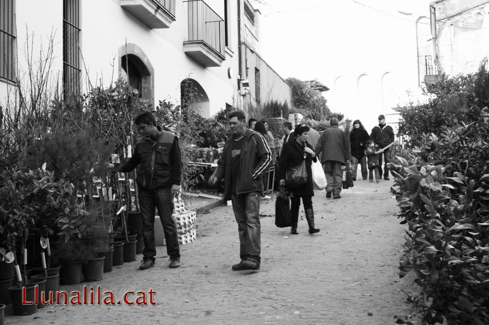 Primeres visites al Planer