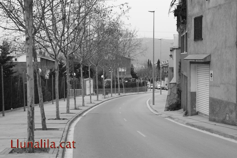 Camins i corbes