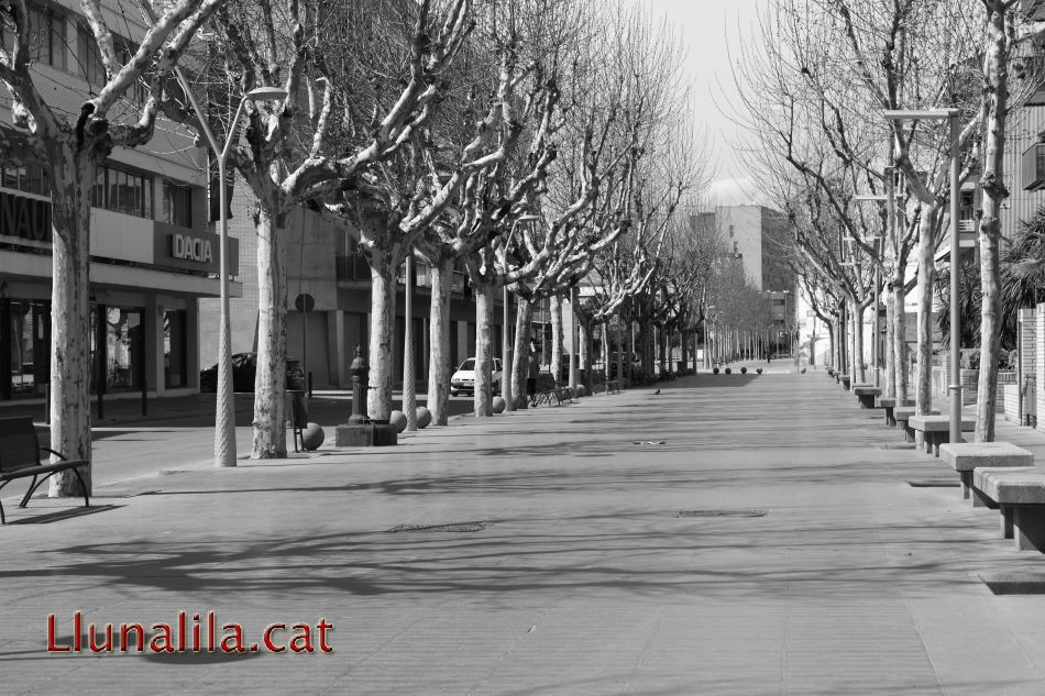 El Passeig de Terraplè Molins de Rei