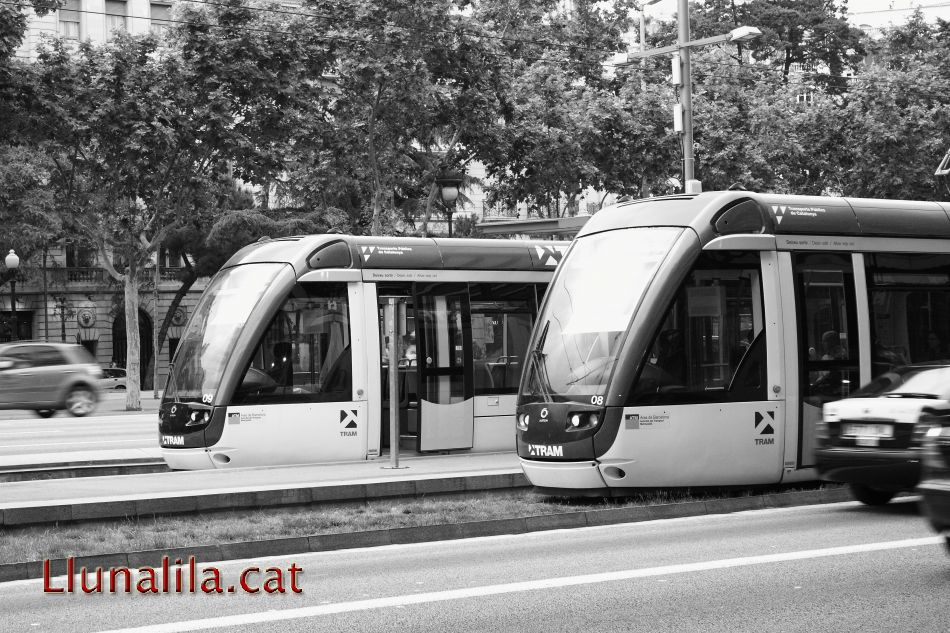 El TramBaix a Plaça Francesc Macià