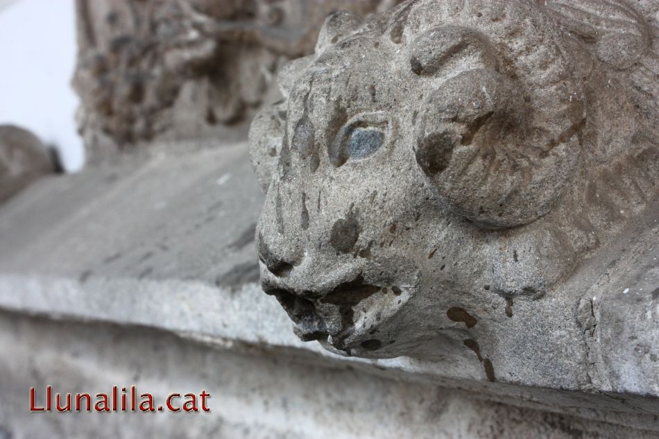 Figueres que treuen la sed