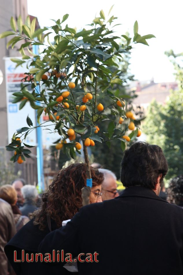 De compres a la Fira de la Candelera