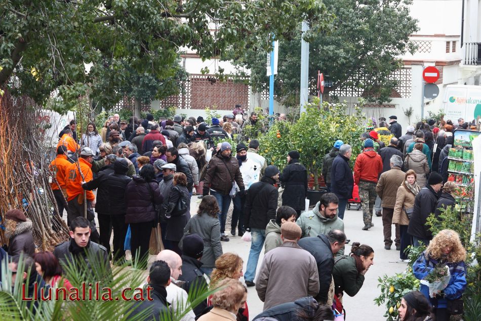 Buscant en el planter