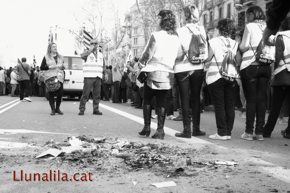 De les cendres és reneix 29M