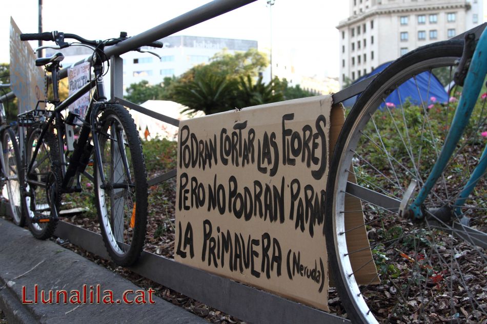 Podrán cortar flores pero no podrán parar la primavera 12M15M