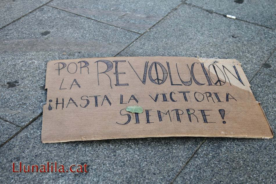 Por la revolución ¡Hasta la victoria siempre!