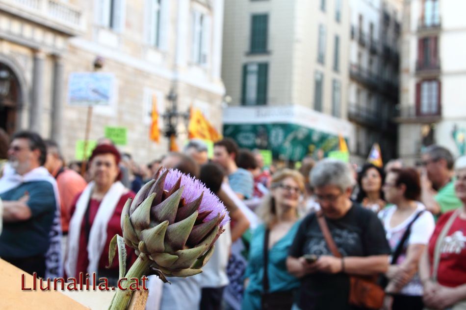 Productes de la terra