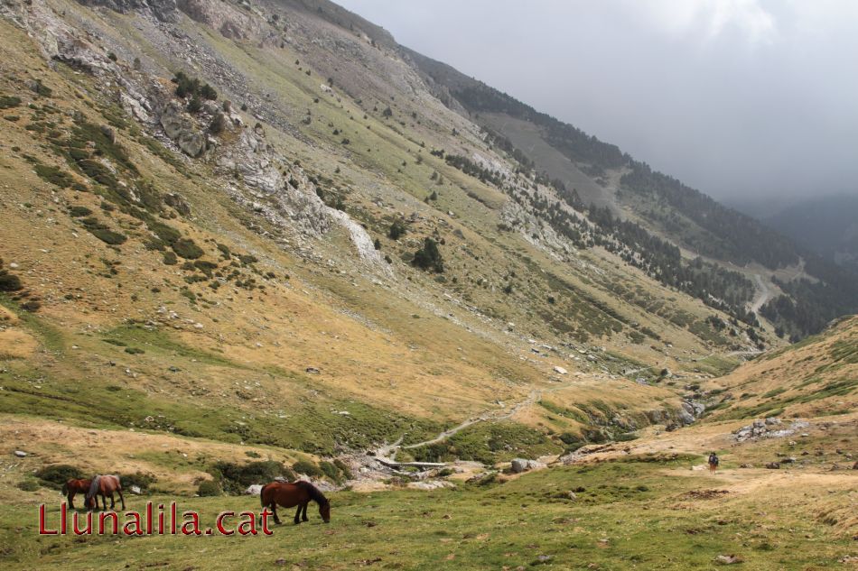 Caminar i gaudir de la natura