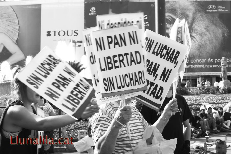 Ni pan ni Libertad 20J