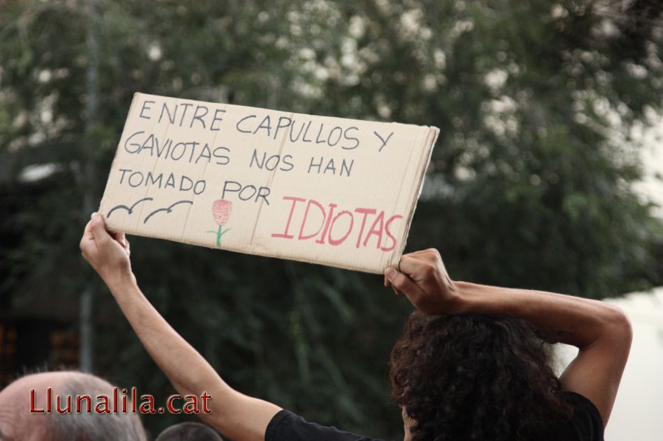 Entre capullos y gaviotas nos han tomado por idiotas 20J