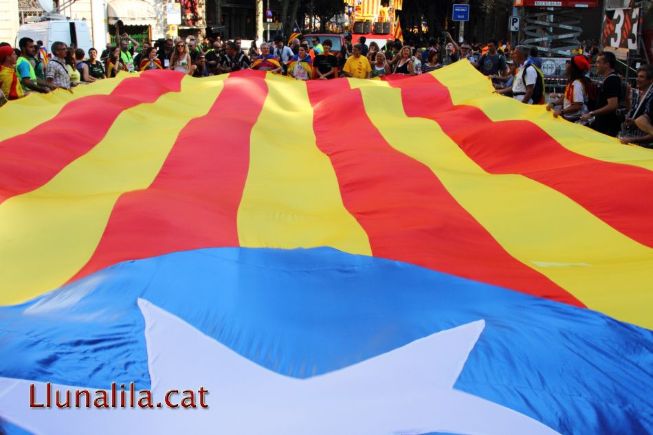 La gran estelada de la manifestació 11s2012