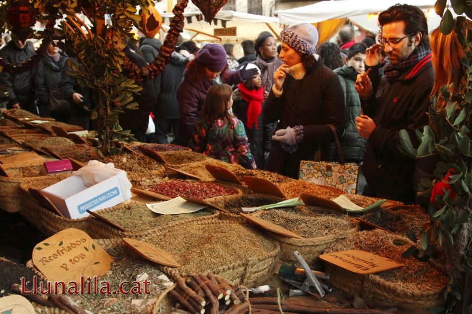 ¿Quina herba medicinal necessito? 