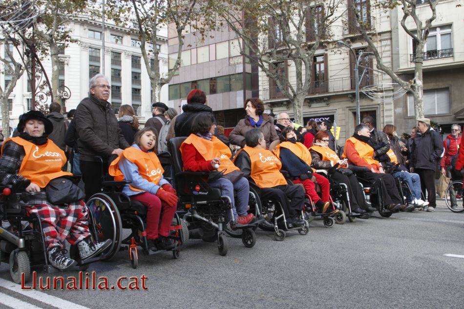 Ecom també diu prou retallades 24N