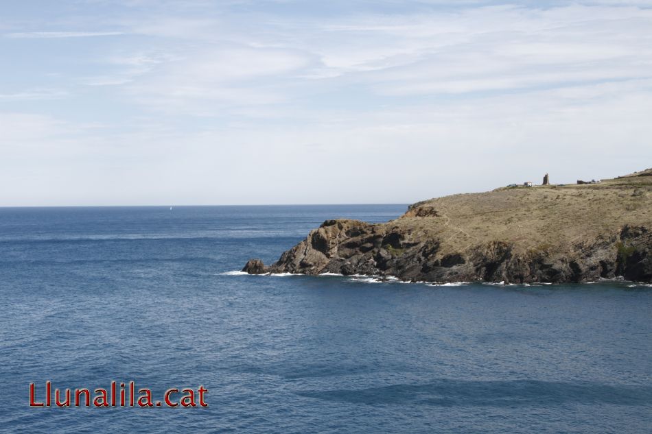 Mar i vida