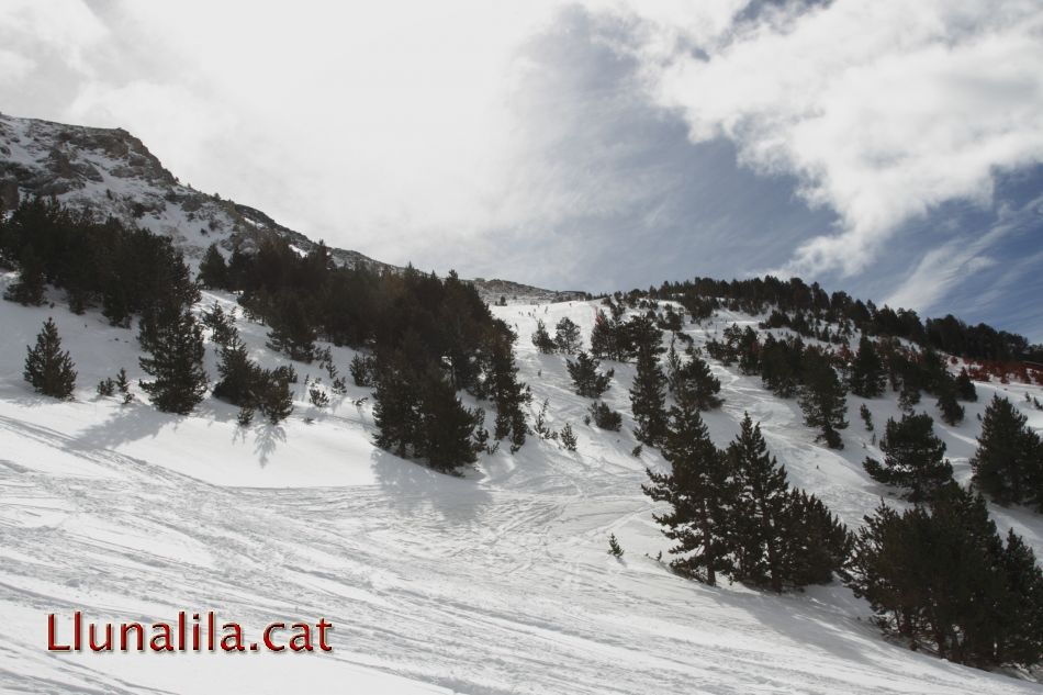 Neu i natura al Ripollès