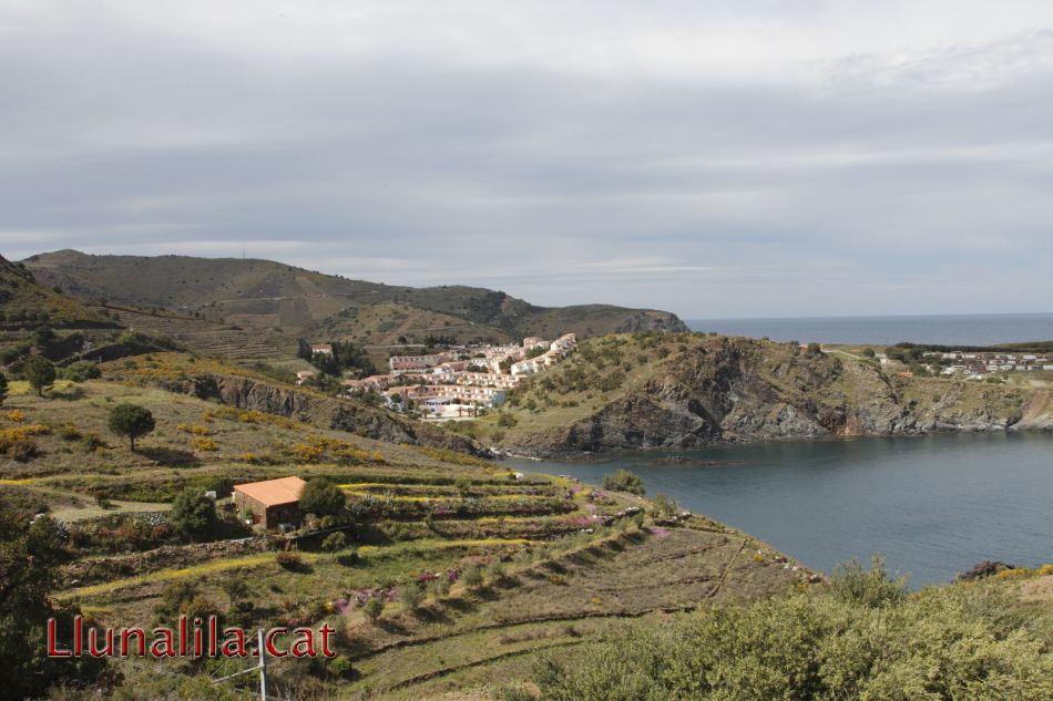 Mar, terra i cases Cerbère