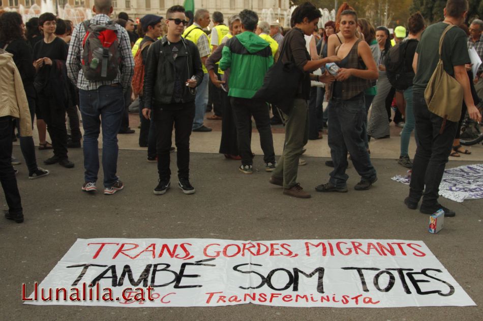 Pancartes i preparatius vagadetotes22O 