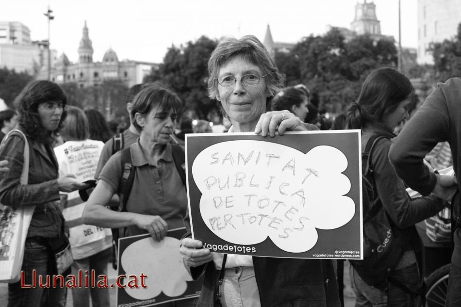 Pancartes i raons per lluitar, Sanitat pública de totes per totes 22O