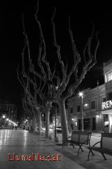 La nit al Passeig del Terraplè 