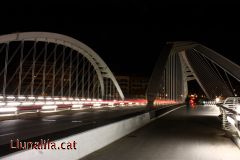 Circulació en el Pont de Santiago Calatrava