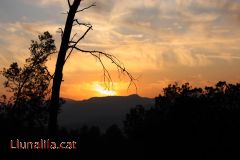 Paisatges de Molins de Rei