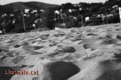 Petites dunes a la Platja