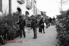 Primeres visites al Planer