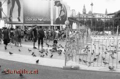 15M torna a Pl. Cat. 15M torna a Pl. Cat.