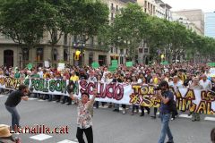 Força i empenta #12M15M