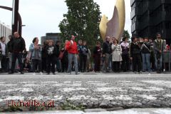 Clàxons i cassoles 20M