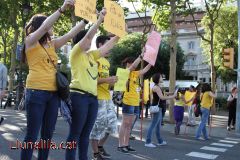 Caixarolada i SOSeduació 25M