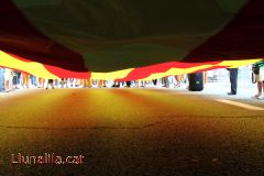 Els colors de la bandera 11s2012