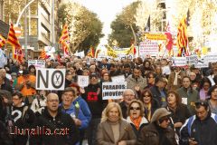 Crits, indignació i lluita 24N