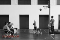 Basquet sobre rodes