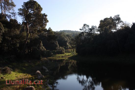Pant� de Vallvidrera
