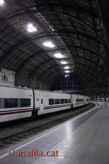 Trens a l'estaci� de Fran�a