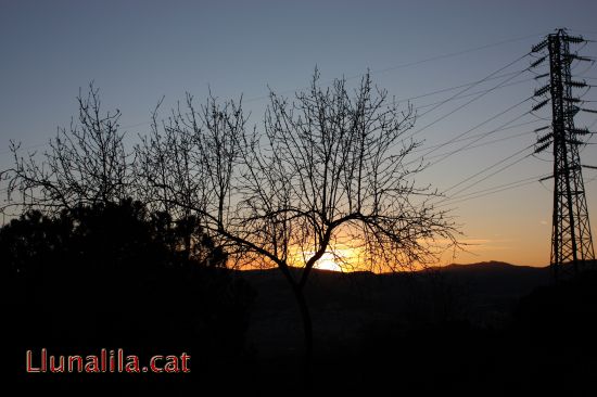 Tarda de sol