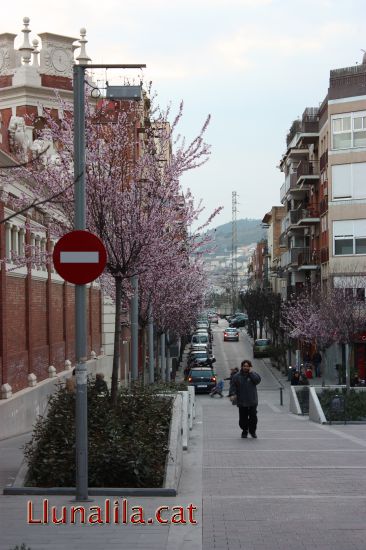 La primavera ja �s fa notar