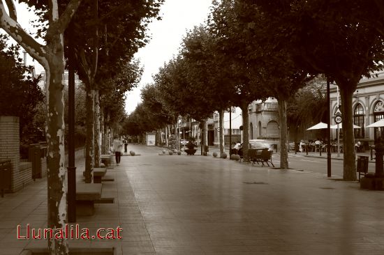 Els abres del Terrapl�