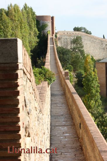 El cam� de la muratla 