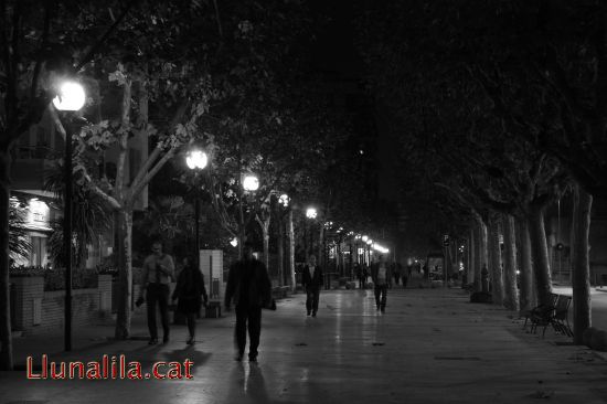 Passejant pel cam� de les llums