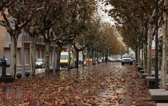 El Terraplè despres de la pluja