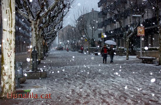 Tot el territori afectat per una nevada