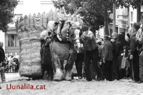 For�a en els tres tombs