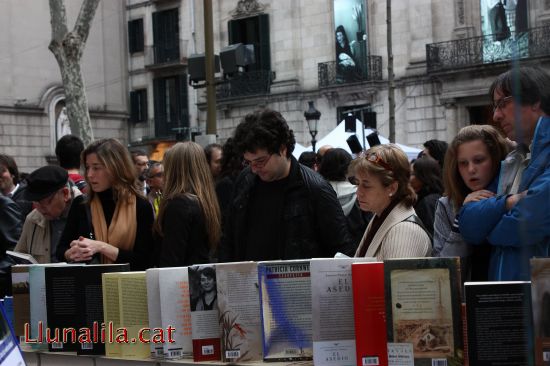 Buscant el llibre de Sant Jordi